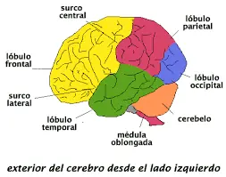 educacion