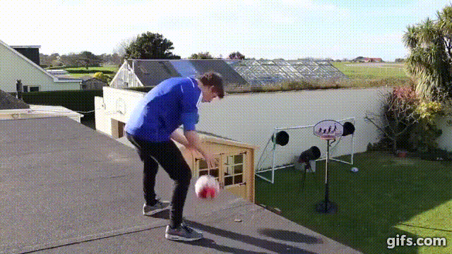 Gifs