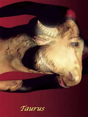 Hombres según su signo + Body Painting