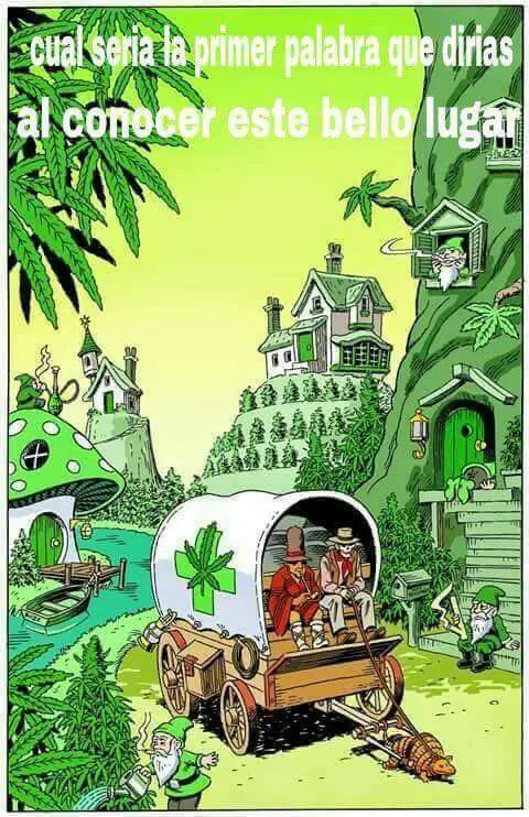 Imagenes de humor perturbador (6)