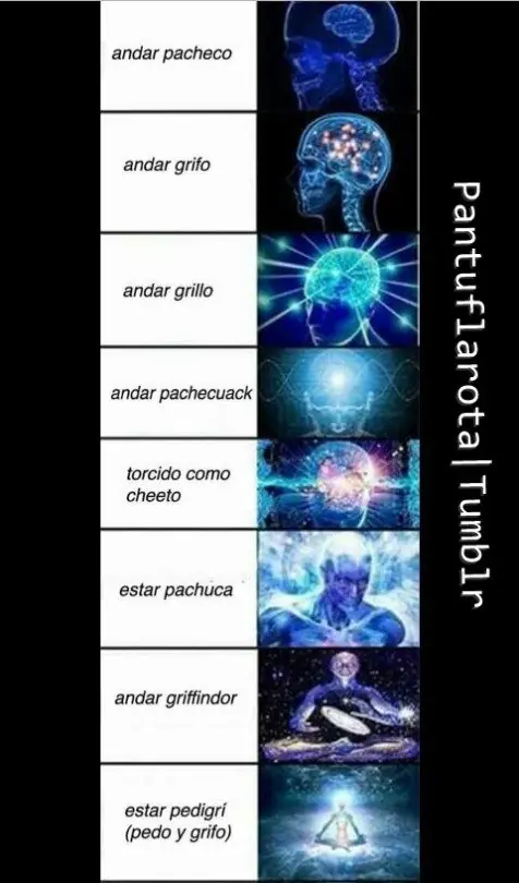 pantuflarota