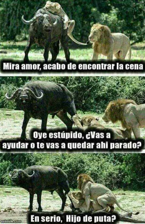 Mirate estas imagenes maquinola