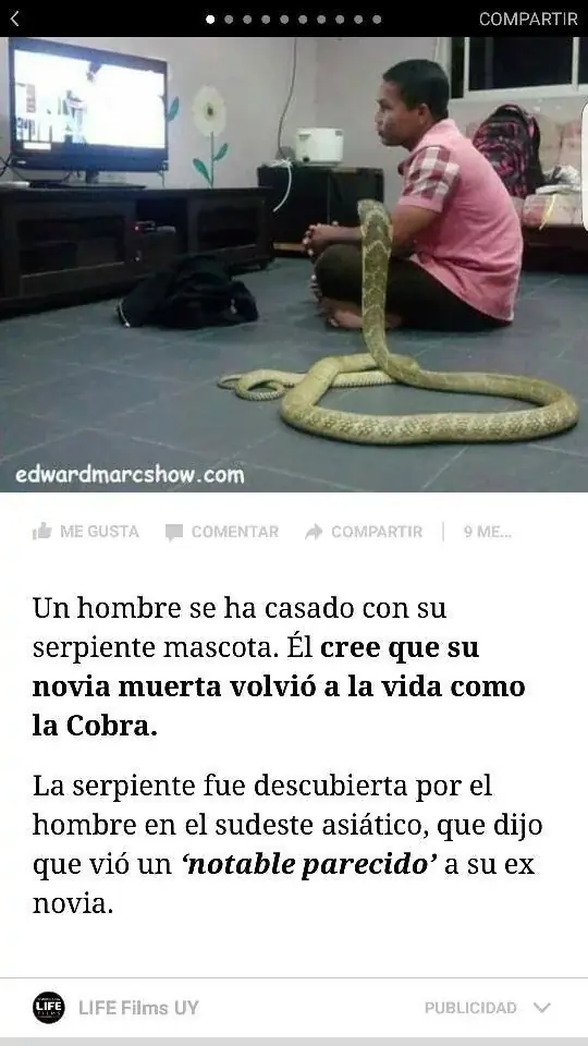 Imagenes de humor perturbador (6)