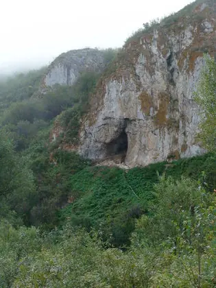 tecnicas