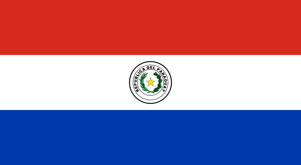 crisantemo crisantemo