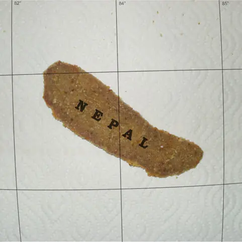 Milanesas con formas de países y esas cosas.