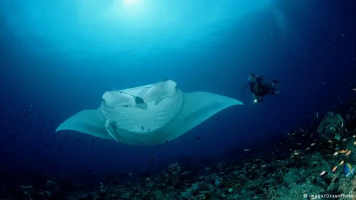 10 cosas increíbles que provocará el cambio climático