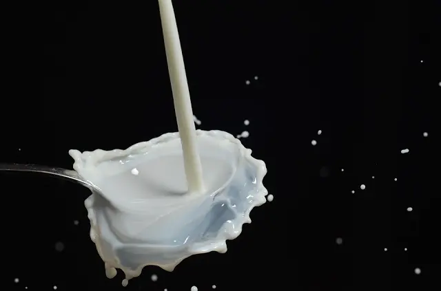 El problema de que los bebés tomen mucha leche (de vaca)