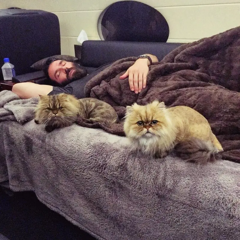 que queria postularse