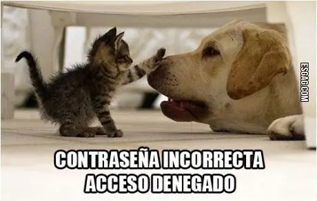 humor