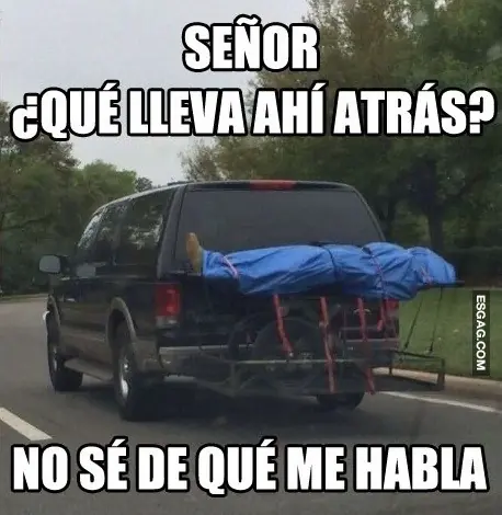 domingo