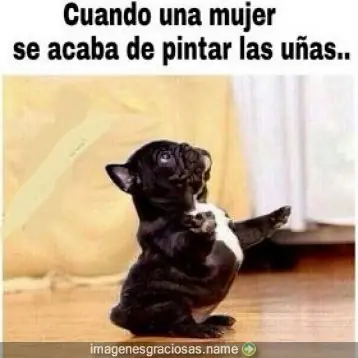 graciosas