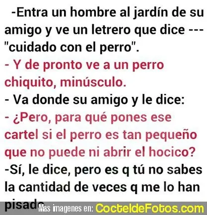 imagenes
