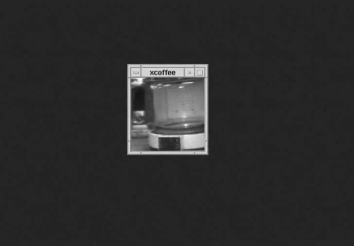 10 datos curiosos que todo el mundo debería saber