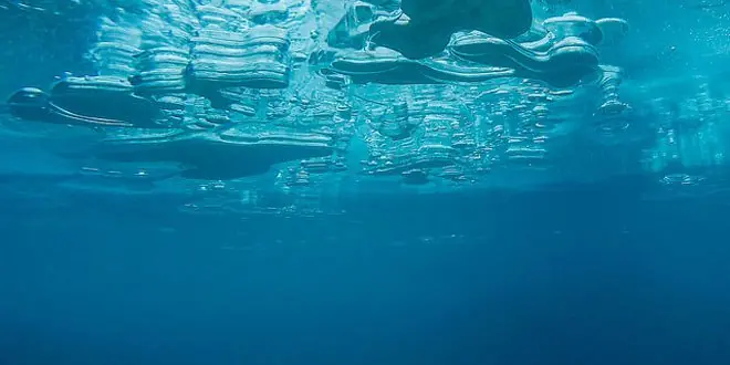 El misterioso silbido del mar Caribe