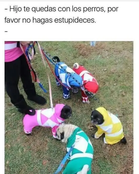 imagenes