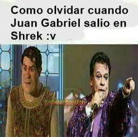 memes momos o como les quieran decir