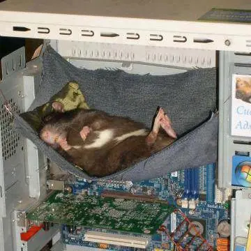 Megapost de Humor para empezar la Semana ((09/1/17)