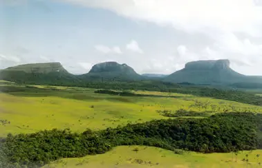 Curiosidades Acerca De Venezuela