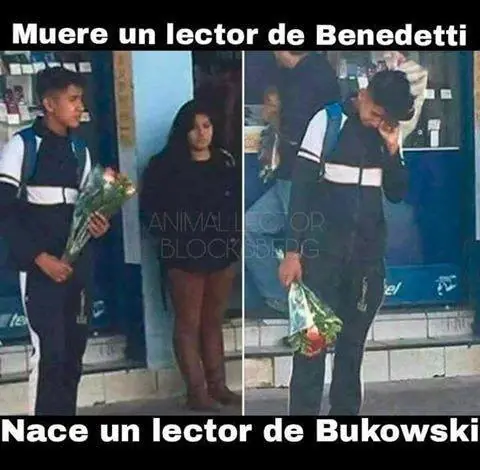 levantar