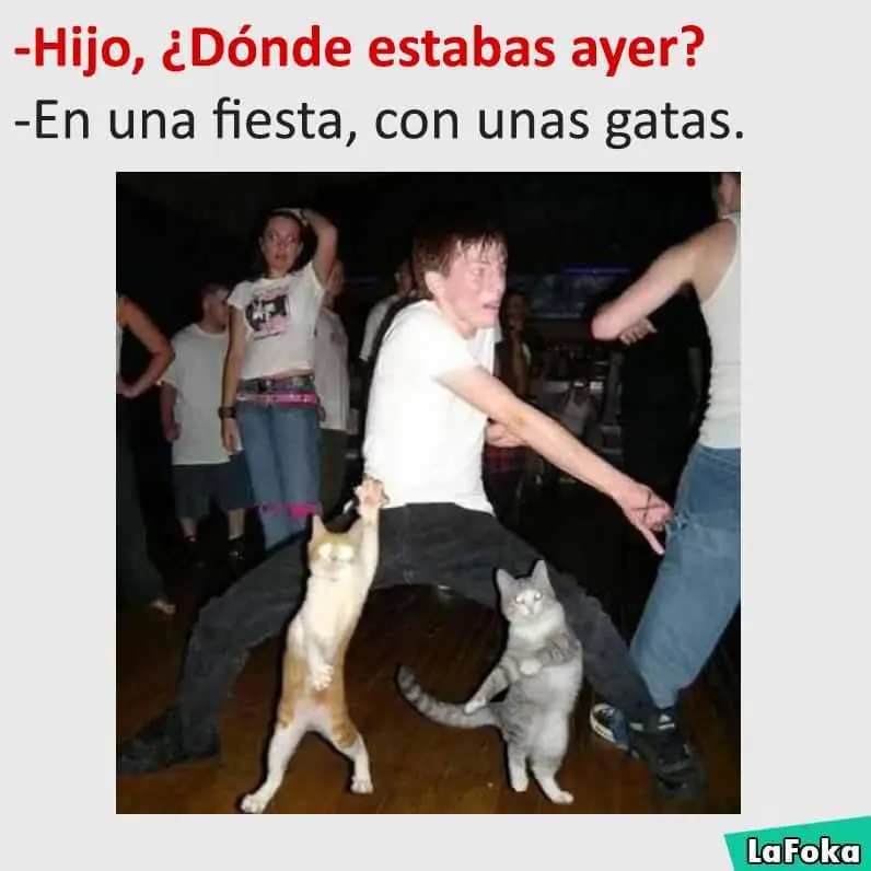 memes momos o como les quieran decir