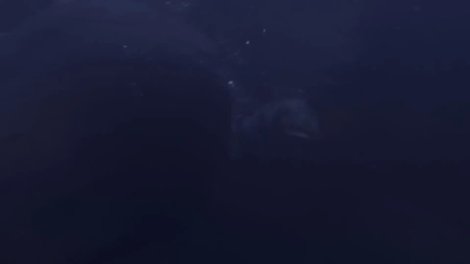 Wooh!!! Dinosaurio marino grabado en Canadá