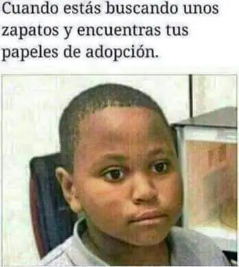 memes momos o como les quieran decir