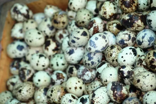 Hay que tener muchos huevos para este post