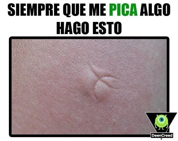 no erres el unico