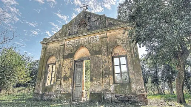 desaparece