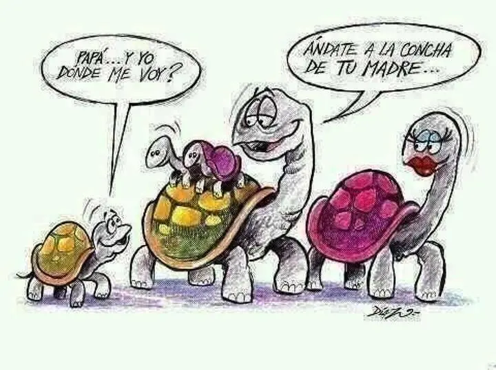 humor