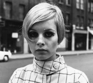twiggy