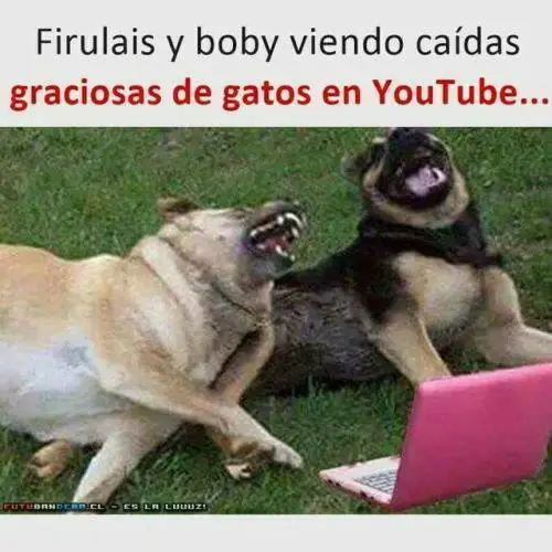 para