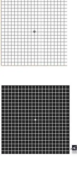 test visuales