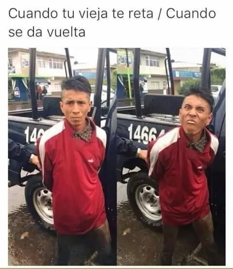 50 imagenes de humor lincesco #120