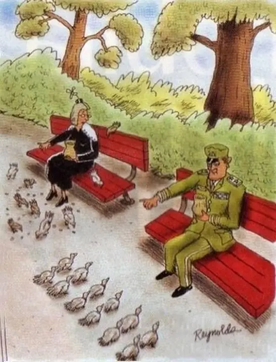 humor