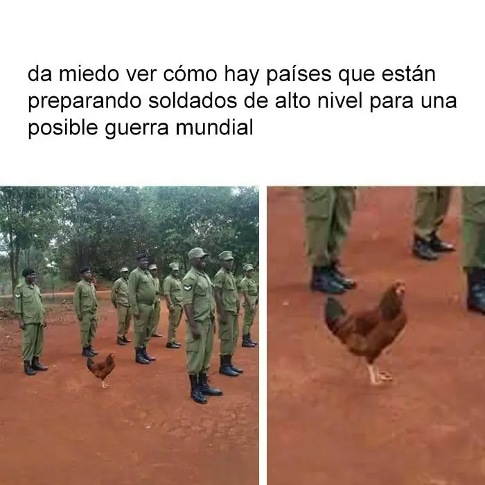 humor