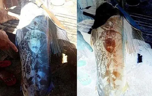 Capturan enorme pez con extraños patrones en su cuerpo