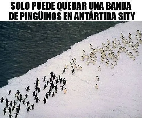 humor