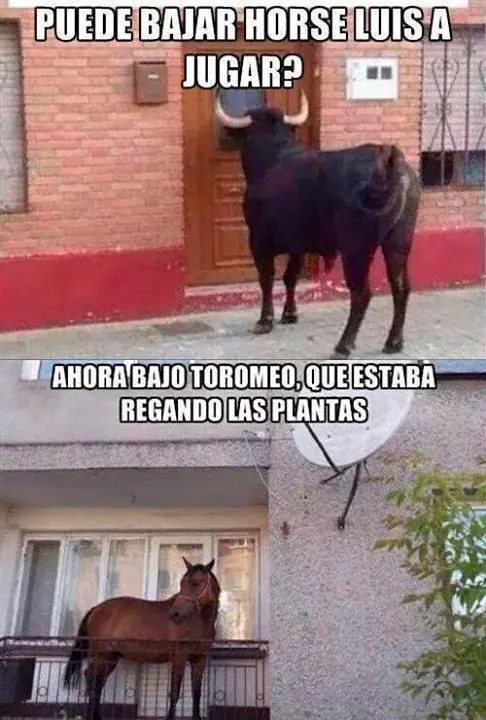 comenzar