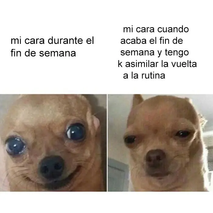 humor