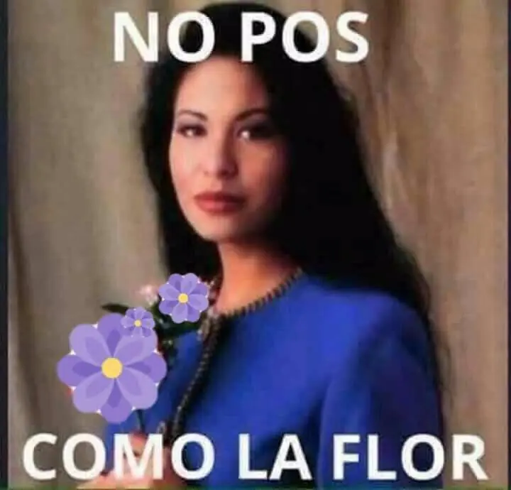 memes