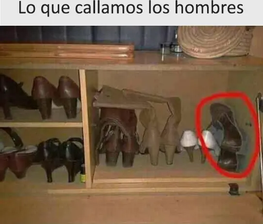 el dia