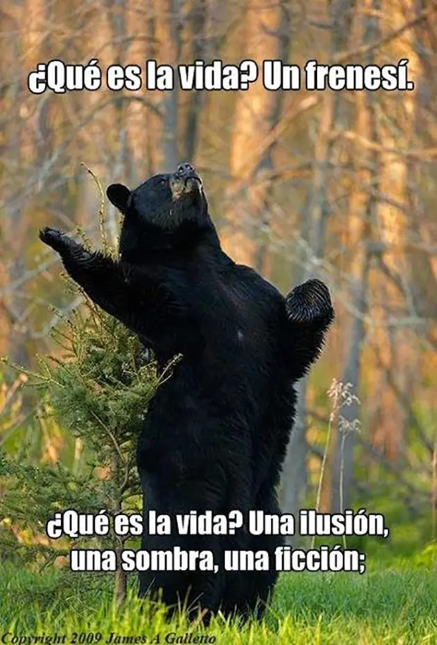 Humor - Memes Literarias.