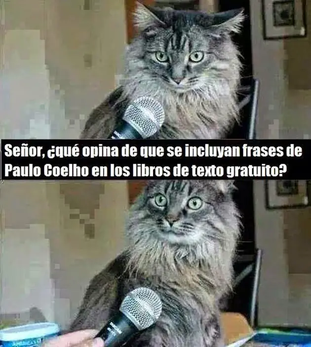 Humor - Memes Literarias.