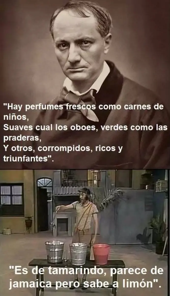 literatura