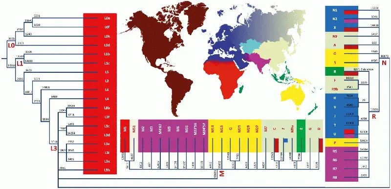 La «madre» de todos los seres humanos