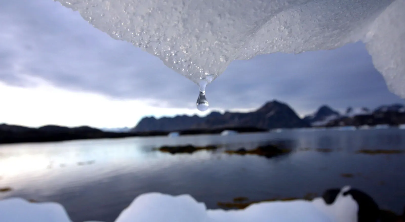 Derretimiento del permafrost Ártico despertaría virus masivo