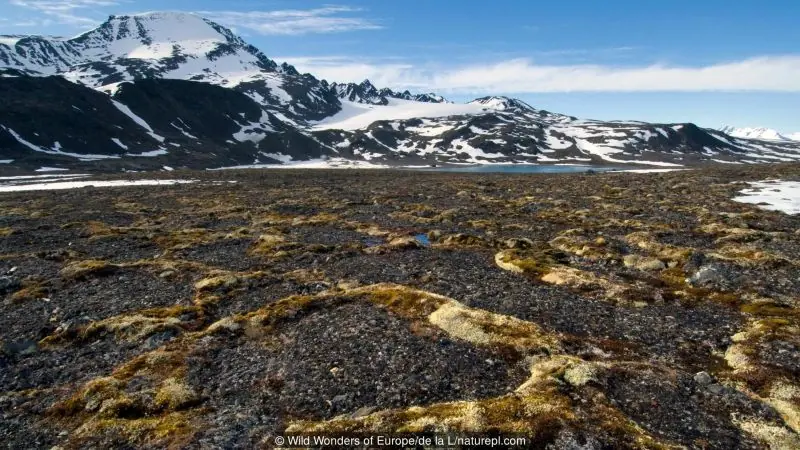 Derretimiento del permafrost Ártico despertaría virus masivo