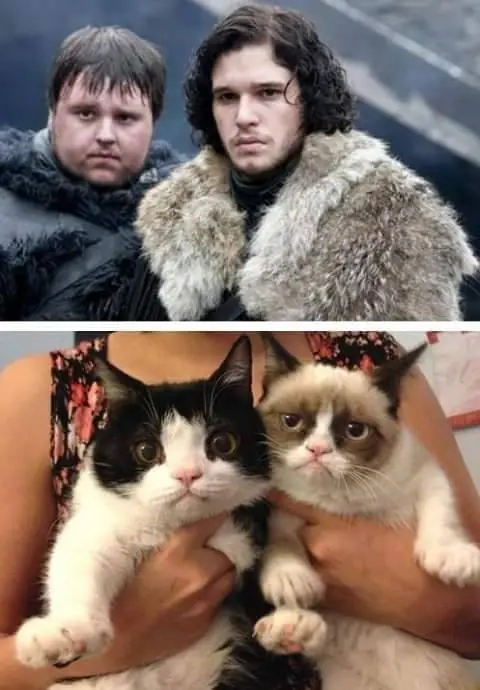 Si te gusta Game of Thrones entra - parte 10